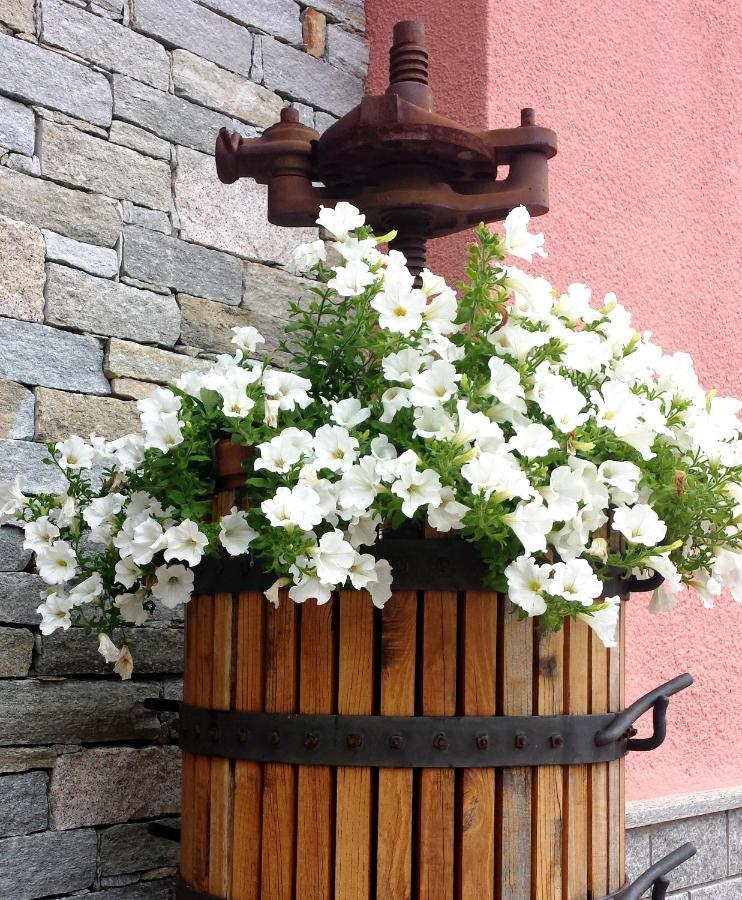 La Rosa Tra I Laghi B&B Meina Dış mekan fotoğraf